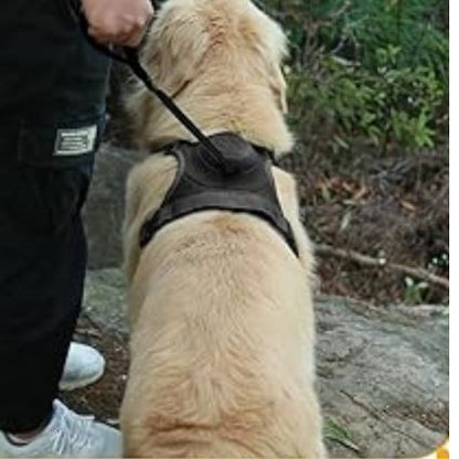 harnais-pour-chien-adulte