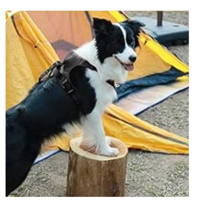 harnais-pour-chien-moyen