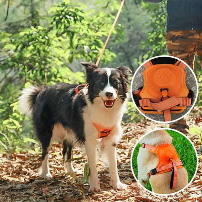 harnais-pour-chien-orange