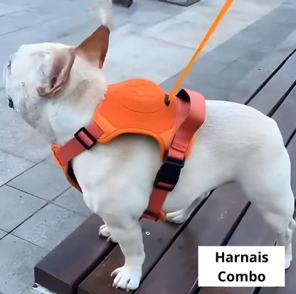 harnais-pour-chien-petit