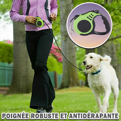 laisse-pour-chien-antidérapante