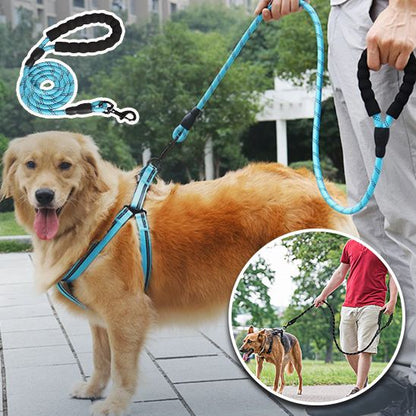 laisse-pour-chien-chiot