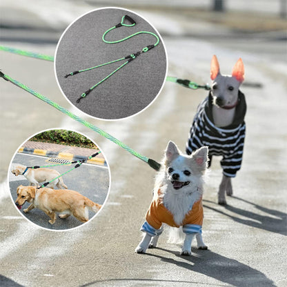 laisse-pour-chien-compagnon
