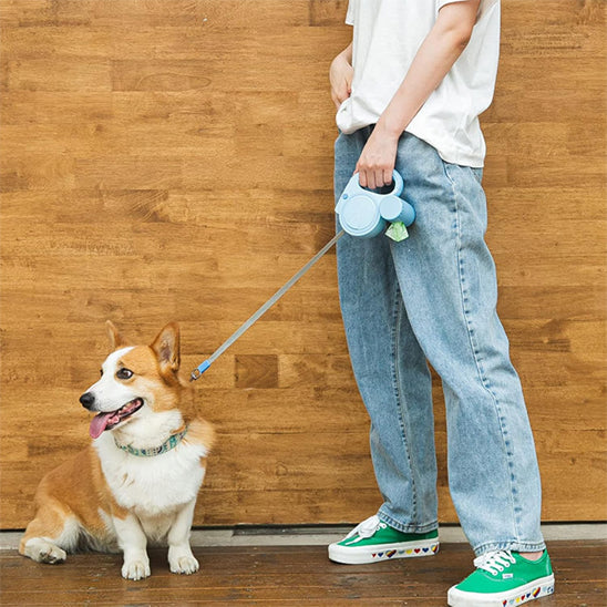 Laisse pour chien enrouleur-NightWalk™