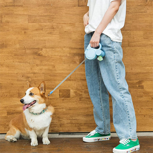 Laisse pour chien enrouleur-NightWalk™