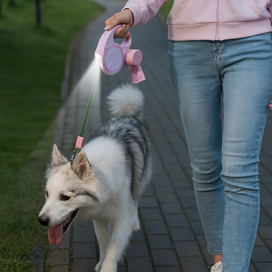 laisse-pour-chien-enrouleur-rose-lumiere