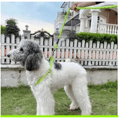 laisse-pour-chien-lime