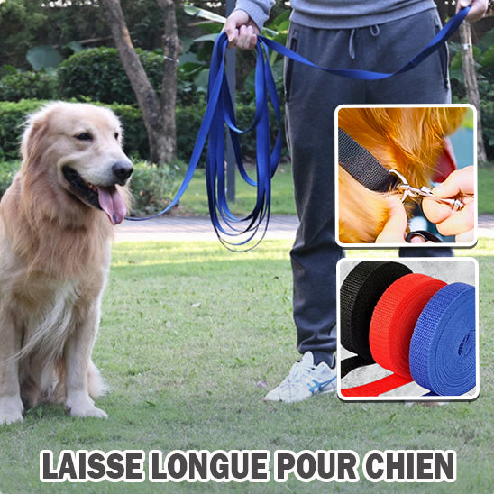 laisse-pour-chien-longue