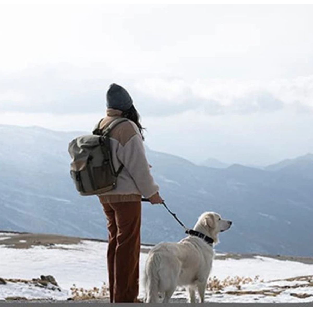 laisse-pour-chien-main-libre-randonne