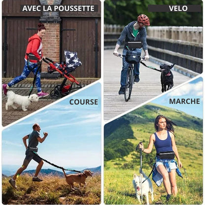 laisse-pour-chien-main-libre-sport