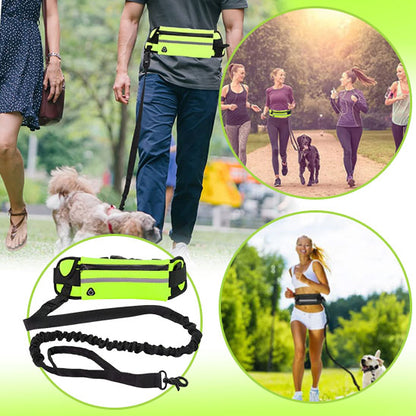 laisse-pour-chien-main-libre-sportive