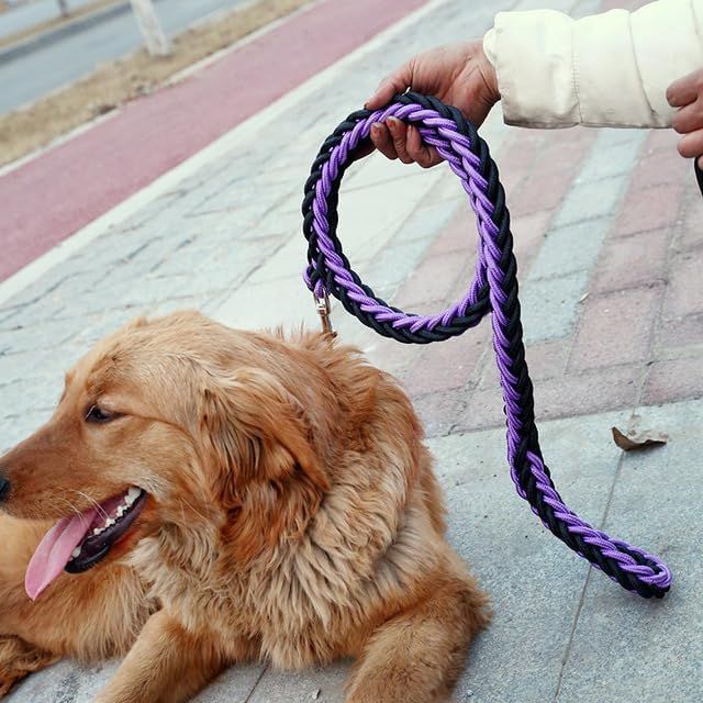 laisse-pour-chien-mauve