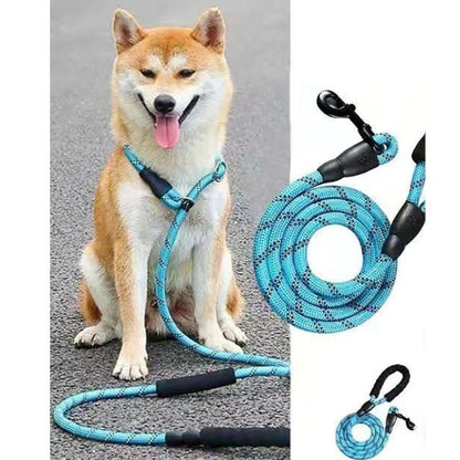 laisse-pour-chien-moyen