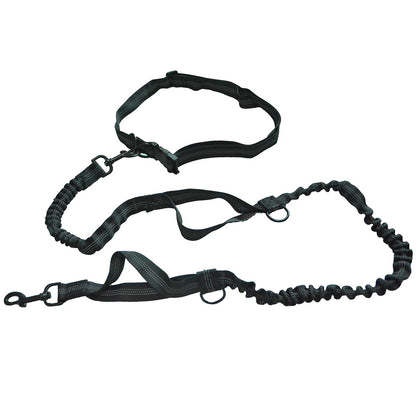 laisse-pour-chien-noir