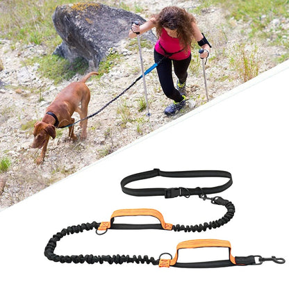 laisse-pour-chien-orange
