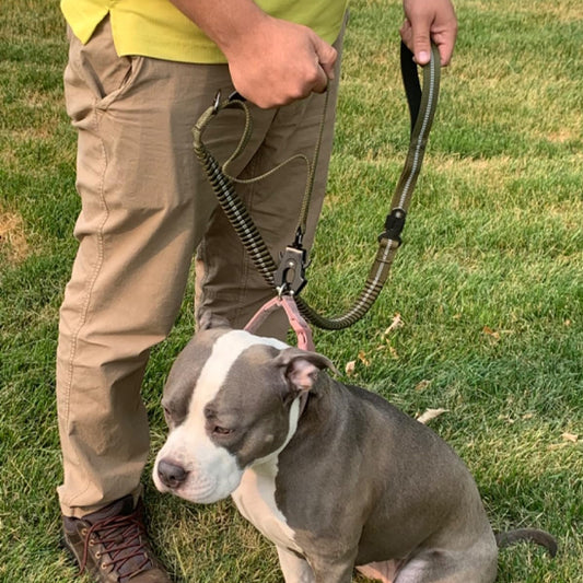 laisse-pour-chien-poignee-securite