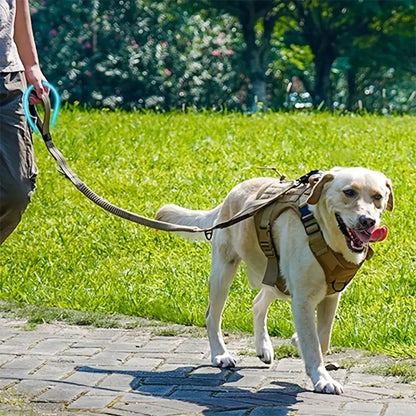 Laisse pour chien-ShockFree™