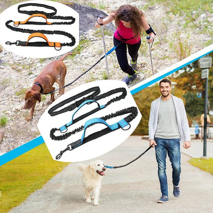 laisse-pour-chien-promenade