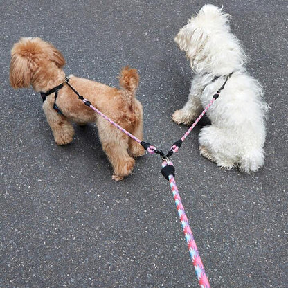 laisse-pour-chien-toutous