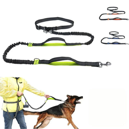 laisse-pour-chien-vert