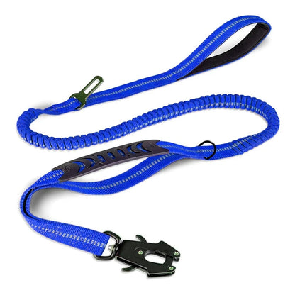 Laisse pour chien-ShockFree™