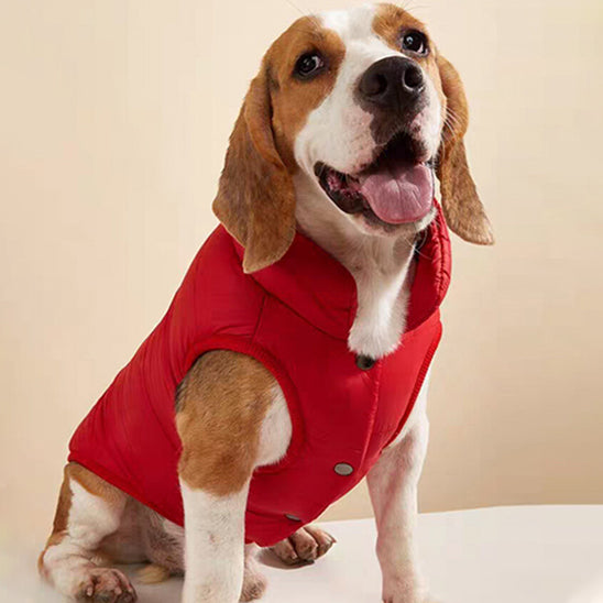 manteau-pour-chien-balade-rouge