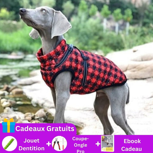 manteau-pour-chien-cadeau