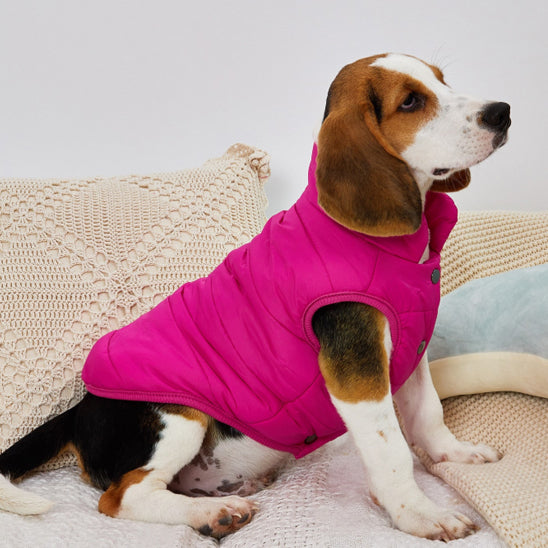 manteau-pour-chien-chiot-rose