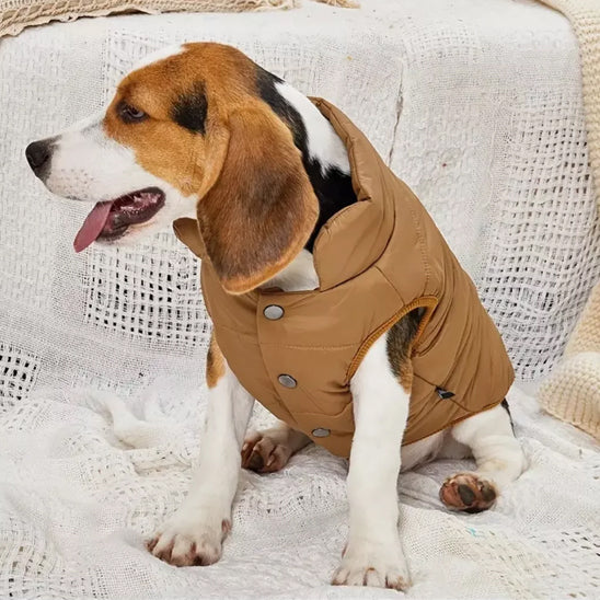 manteau-pour-chien-compagnon-brun