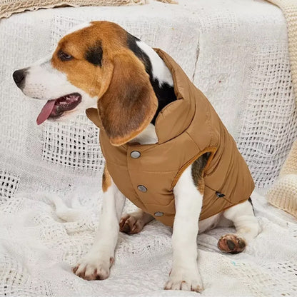 manteau-pour-chien-compagnon-brun