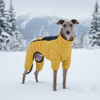 manteau-pour-chien-jaune-grand-chien