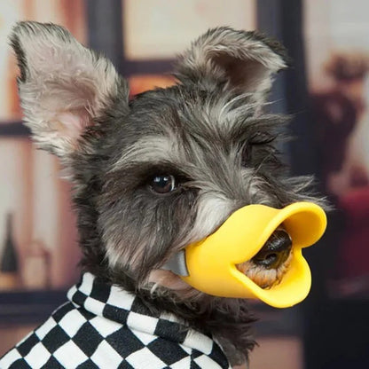 museliere-chien-mignon