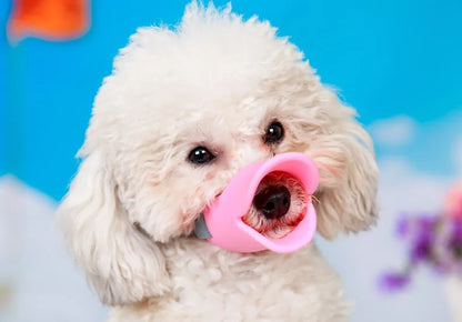 museliere-chien-rose