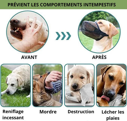 muselière-comportement
