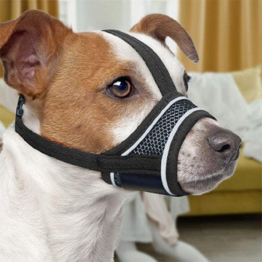 museliere-noir-chien-calme