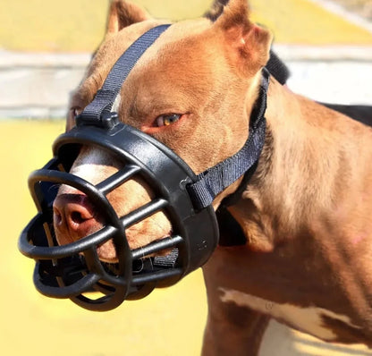 museliere-panier-grande-race