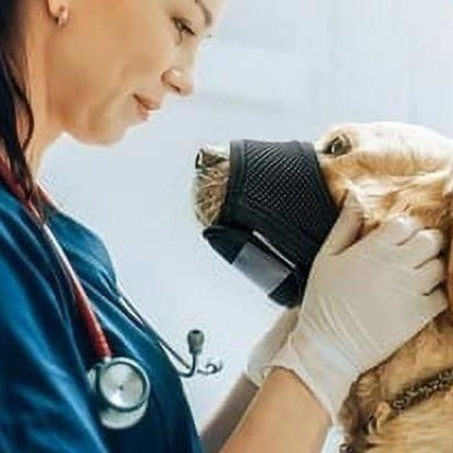 muselière-veterinaire