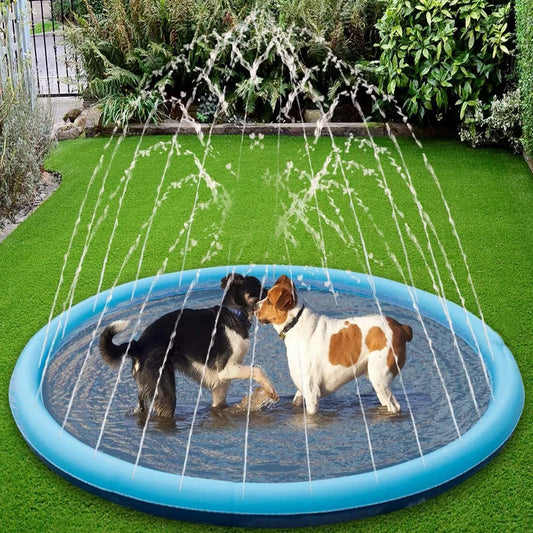 piscine-pour-chien-eau