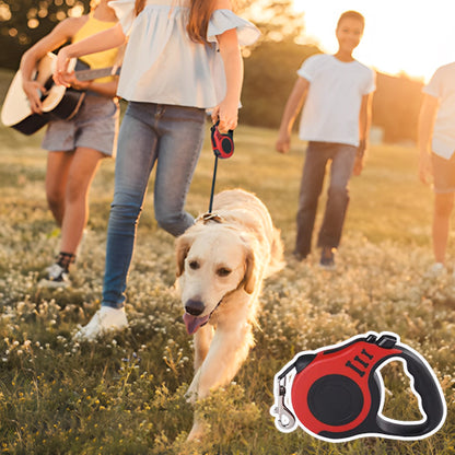 Laisse retractable chien - RollOn™