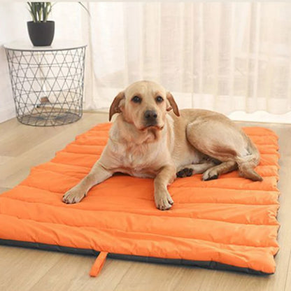 tapis-pour-chien-grand-labrador