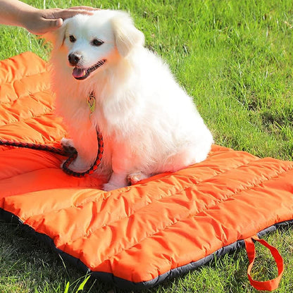 tapis-pour-chien-petit-chien-blanc