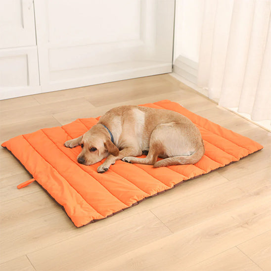tapis-pour-chien-repos-salon