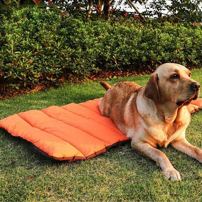 tapis-pour-chien-vieux-chien-couche